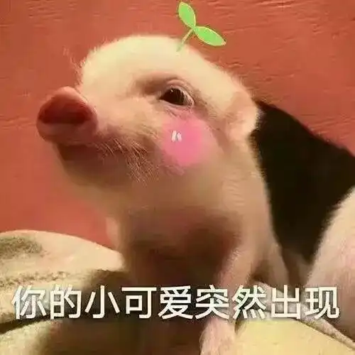 十二星座谁最会聊天这四大星座能聊上天
