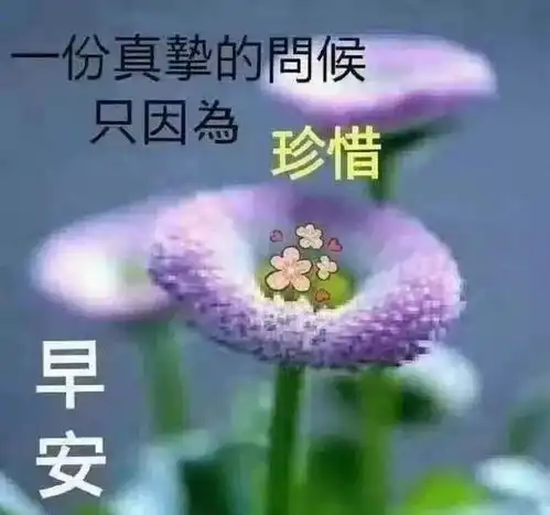 2020最新鼠年早安祝福语大全,朋友圈最新微信表情句子
