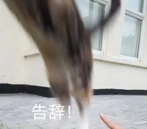 插手朋友矛盾后,我尴尬了
