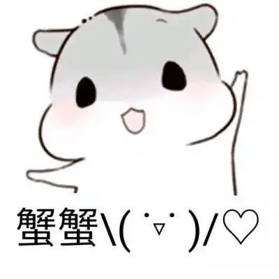 仓鼠真的适合当宠物吗
