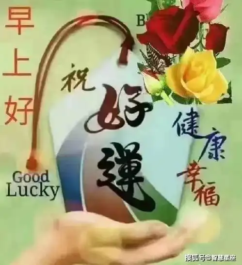 微信免打字早安聊天图片表情,早安聊天专用图片大全动态带字

