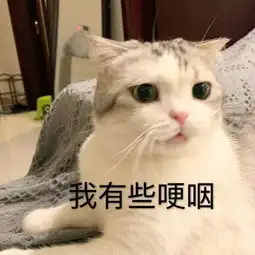 没想到你们是这样的00后
