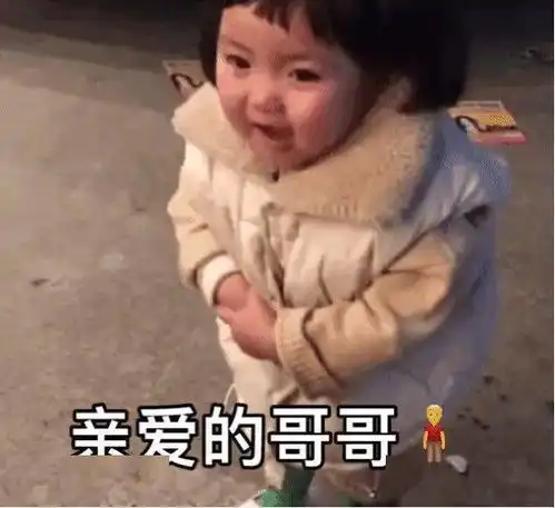 新年专题斗柄回寅,乾元启运

