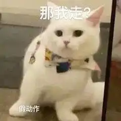 粤u83不按导向车道行驶,全责
