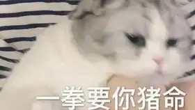 决战平安京红姓女子有多快乐干啥啥不行,k头第一名我说我
