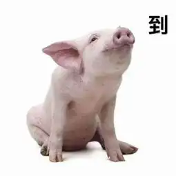 2496为战而来视频直播全集2496为战而来资料大全yy官方

