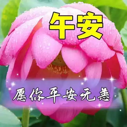 中午好图片,中午好的问候语图片,午安问候图片大全,如意美好
