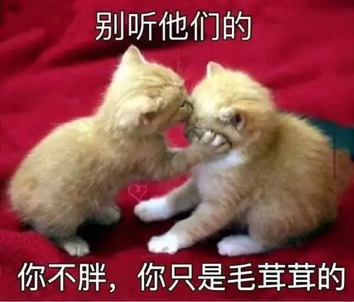 欺骗餐,你可真的把我骗惨了
