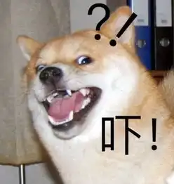 柴犬为什么叫戏精看了这些表情包你就知道了
