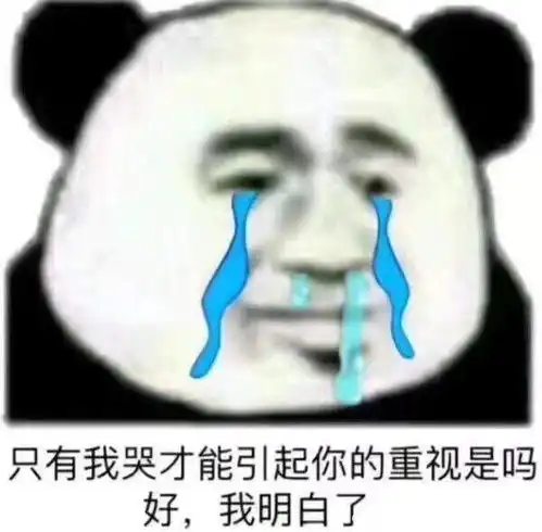 宠物猫到底应不应该绝育
