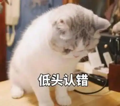 可爱小猫表情包你是猪,我不要理你
