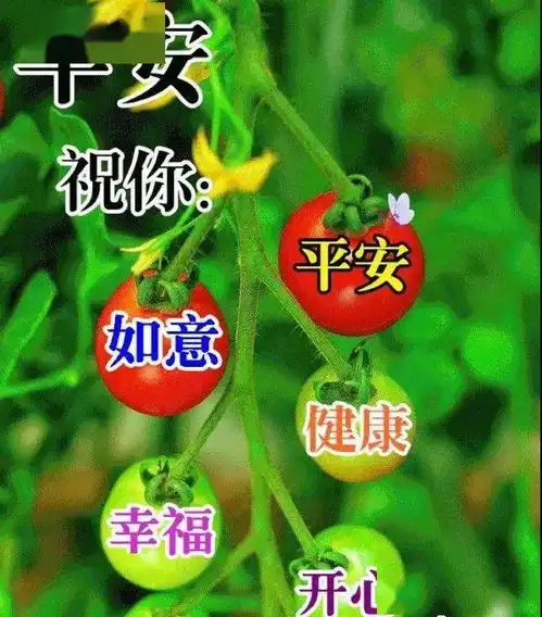 周二表情包,大家早上好,心情好人不老,一切顺心又美好祝福
