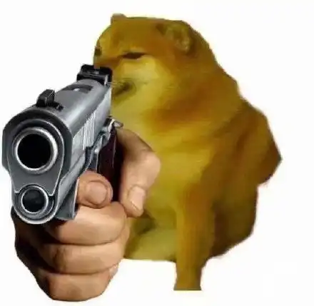 哔哩哔哩专栏
