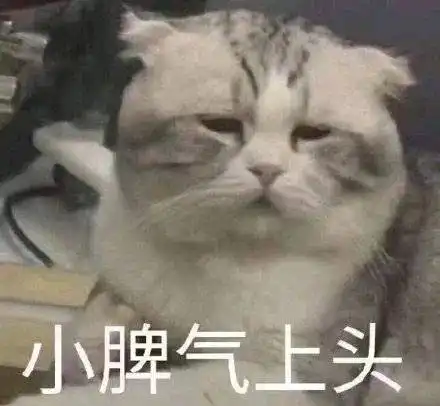 昨天,微信朋友圈又双叒崩了崩上热搜
