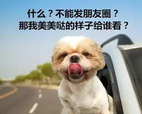 车载大屏能用微信了不过得先有张远特乐车卡
