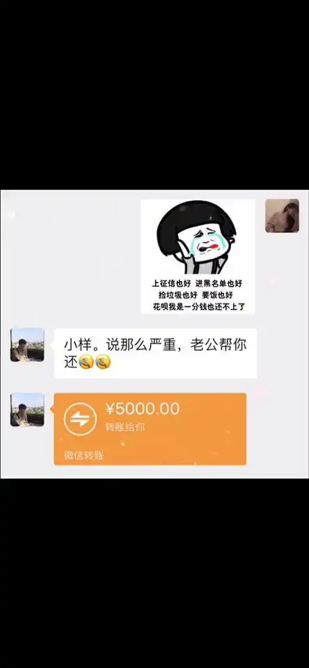 花呗我是一分钱也还不上了每日迷惑行为沙雕操作表情包小可爱已上线
