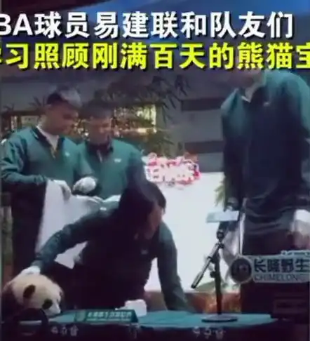 2米大汉易建联被软萌熊猫宝宝吓到,惊出表情包,逗乐众人
