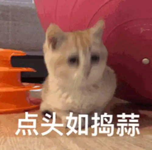 这一次,高盛对大一新生下手有点狠了
