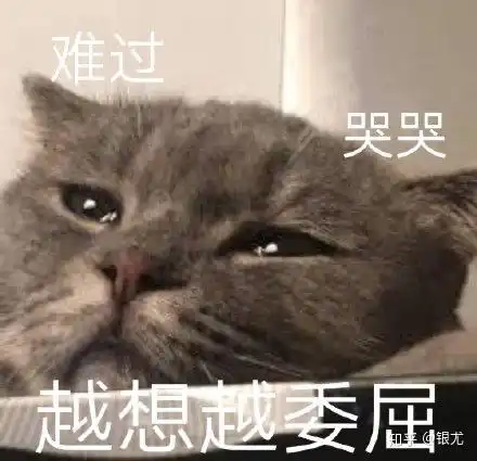 又是想吃后悔药的一天
