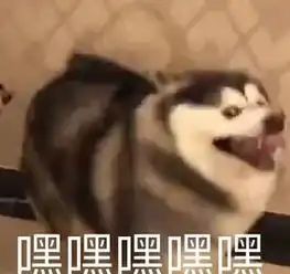 你有私活吗自由职业者节税方案来了
