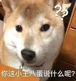 表情包丨我很高贵男人没机会
