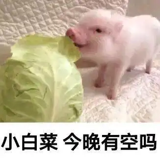 沙雕表情包丨不用问了爱过
