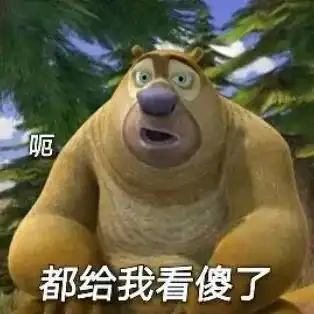 表情包熊出没熊大熊二光头强沙雕系列
