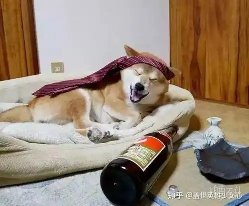 忆前半生

