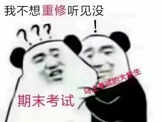 用一个表情包形容期末考试

