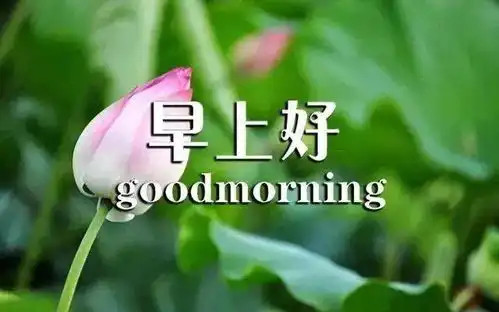 12月12日最新早晨好问候语动态图片表情漂亮早上好问候祝福语动表情图片
