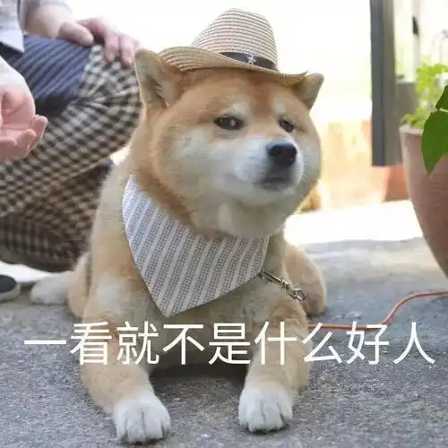 看了这份攻略,别说国庆还抢不到票
