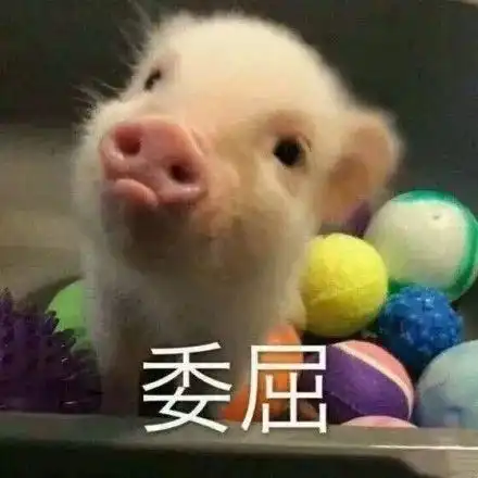 今日表情
