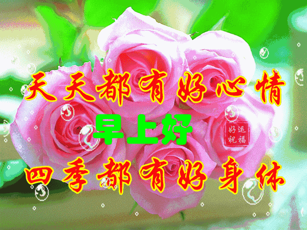 9张特别漂亮的上午好下午好图片动态表情包群聊不打字早晨好问候语祝福语图片带字大全
