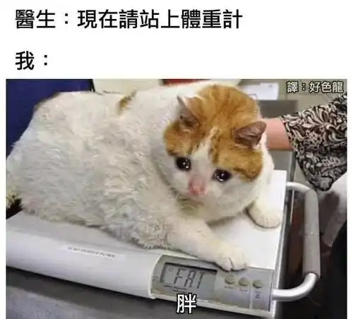 搜狐网
