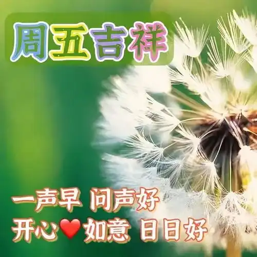 4月14日周五早安问候图片带字,传递温馨与美好,共享健康与快乐
