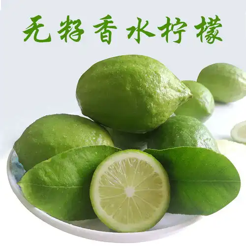 广东无籽香水柠檬新鲜青柠檬包邮现摘四季柠檬奶茶店专用切片水果
