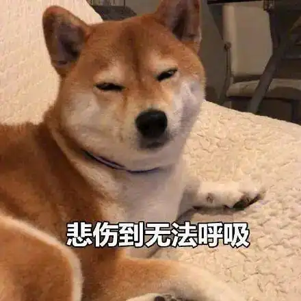 澳网包机抵墨9人确诊183人紧急隔离维州留学生试点遭炮轰今年或回不来
