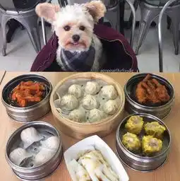 表情像不像减肥时看到美食的你......又馋又饿又委屈
