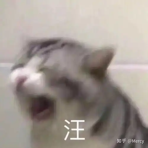 如何看待橙光游戏穿越之姻缘劫

