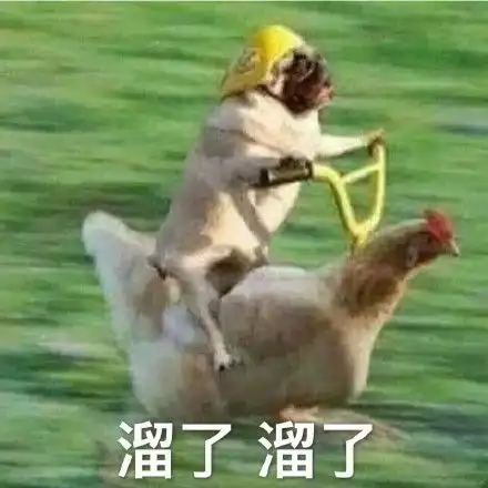 小恐龙吃掉你可爱小恐龙高糊表情包
