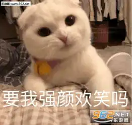 在吗出来饮酒喝酒派大星表情包图片抱紧我的猪宝贝表情包下载乐游网游戏下载
