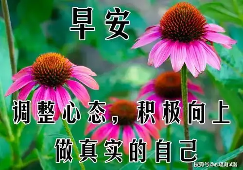 8张最新漂亮春天早上好问候动态鲜花表情图片春天早安问候图片带字带鲜花

