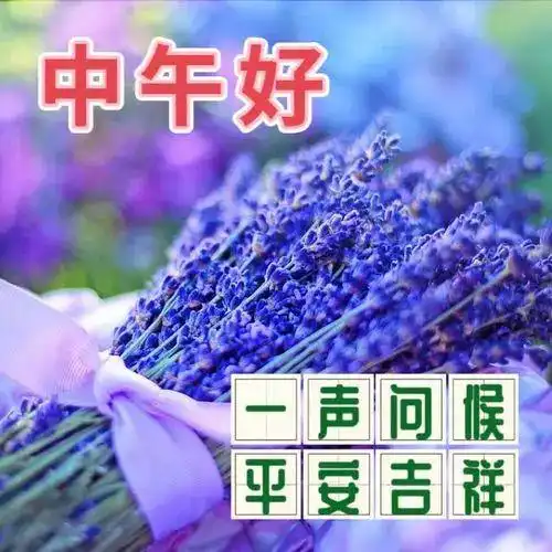 中午好最新精美图片,午安问候图片,一帆风顺
