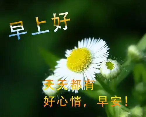 早上好动图表情2020年早上好动图表情包微信
