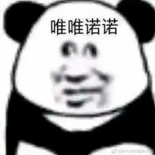 熊猫表情包你根本就不懂光
