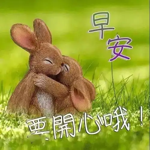 早晨好的问候语图片表情发朋友圈好看的早晨图片
