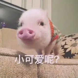 wuli金小宝照片wuli金小宝相册大全yy官方
