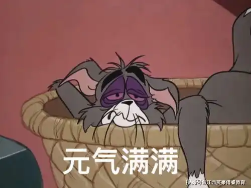 来聊聊你都为了考研,放弃了什么
