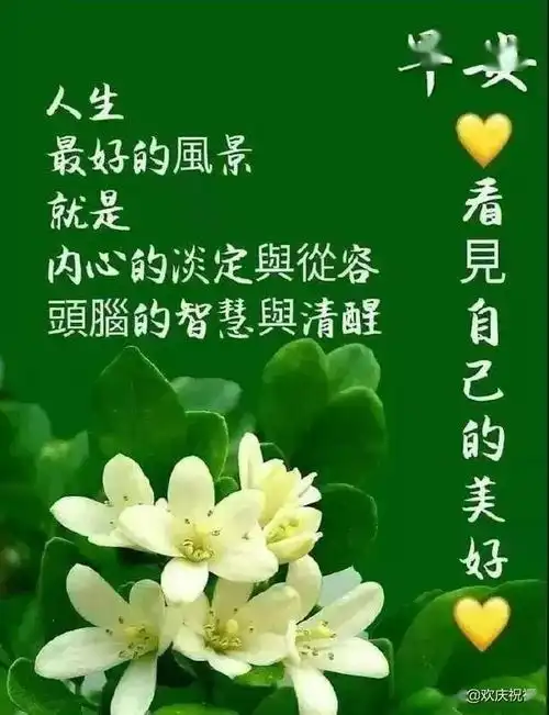 生活别过太累,该吃的吃,该喝的喝,快乐才最重要,早安
