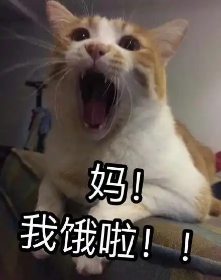 本宝宝饿了表情包
